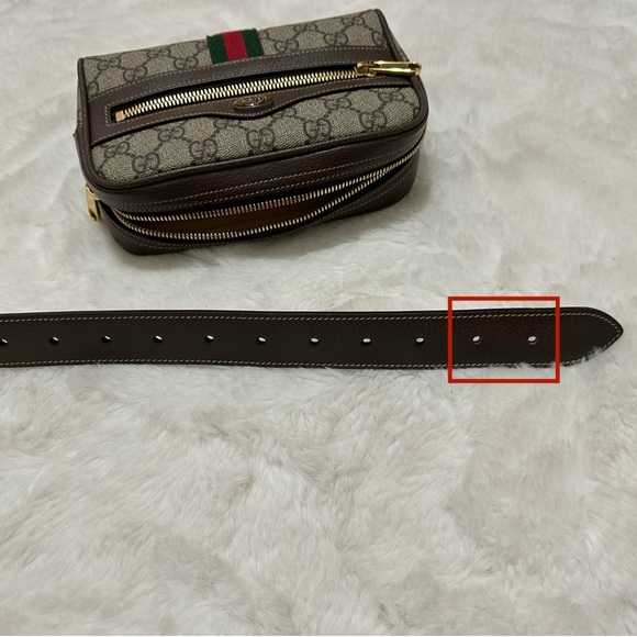 Gucci Small Ophidia Belt Bag - Picture 13 of 15